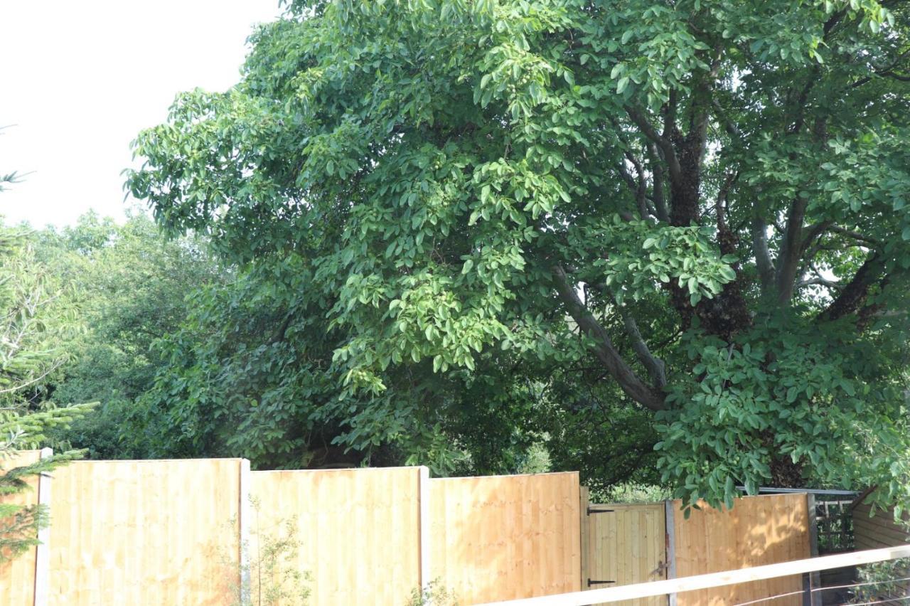 Walnut Tree View Villa Oxford Buitenkant foto